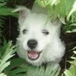 Meet your Posher, Alanna e.